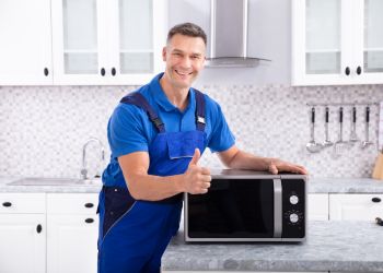 Microwave Repair